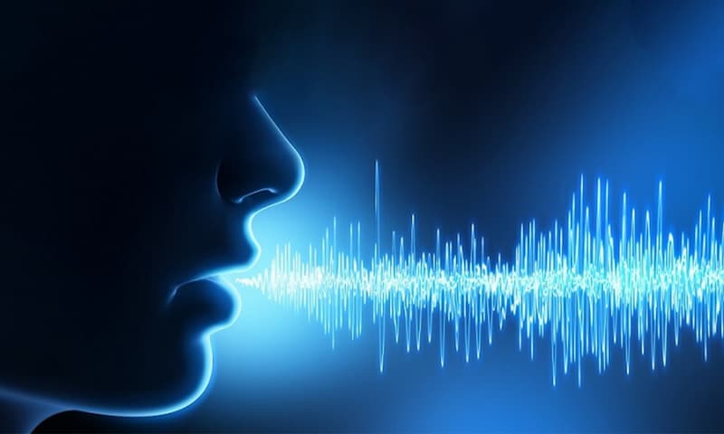 Biometría Identificación Por Voz